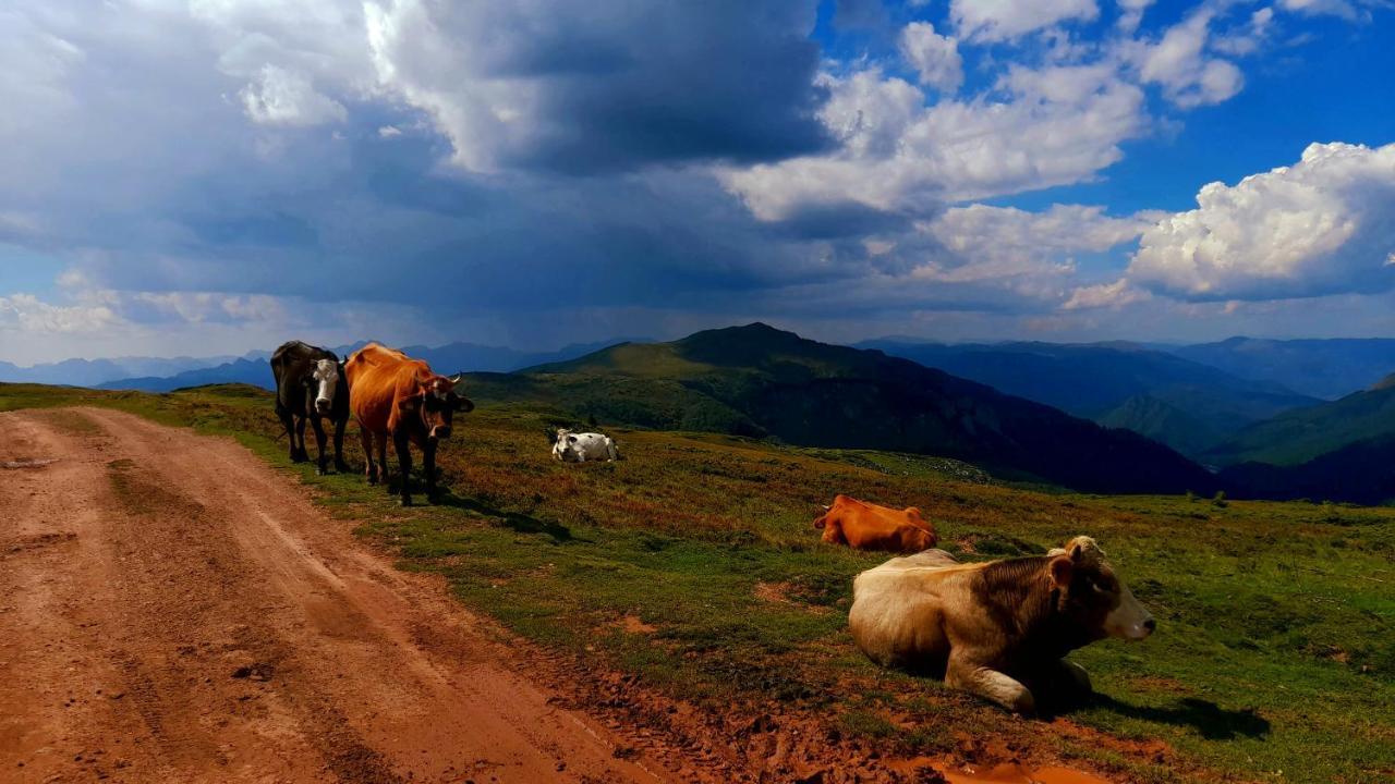 Etno Village Coric Mojkovac Exterior photo