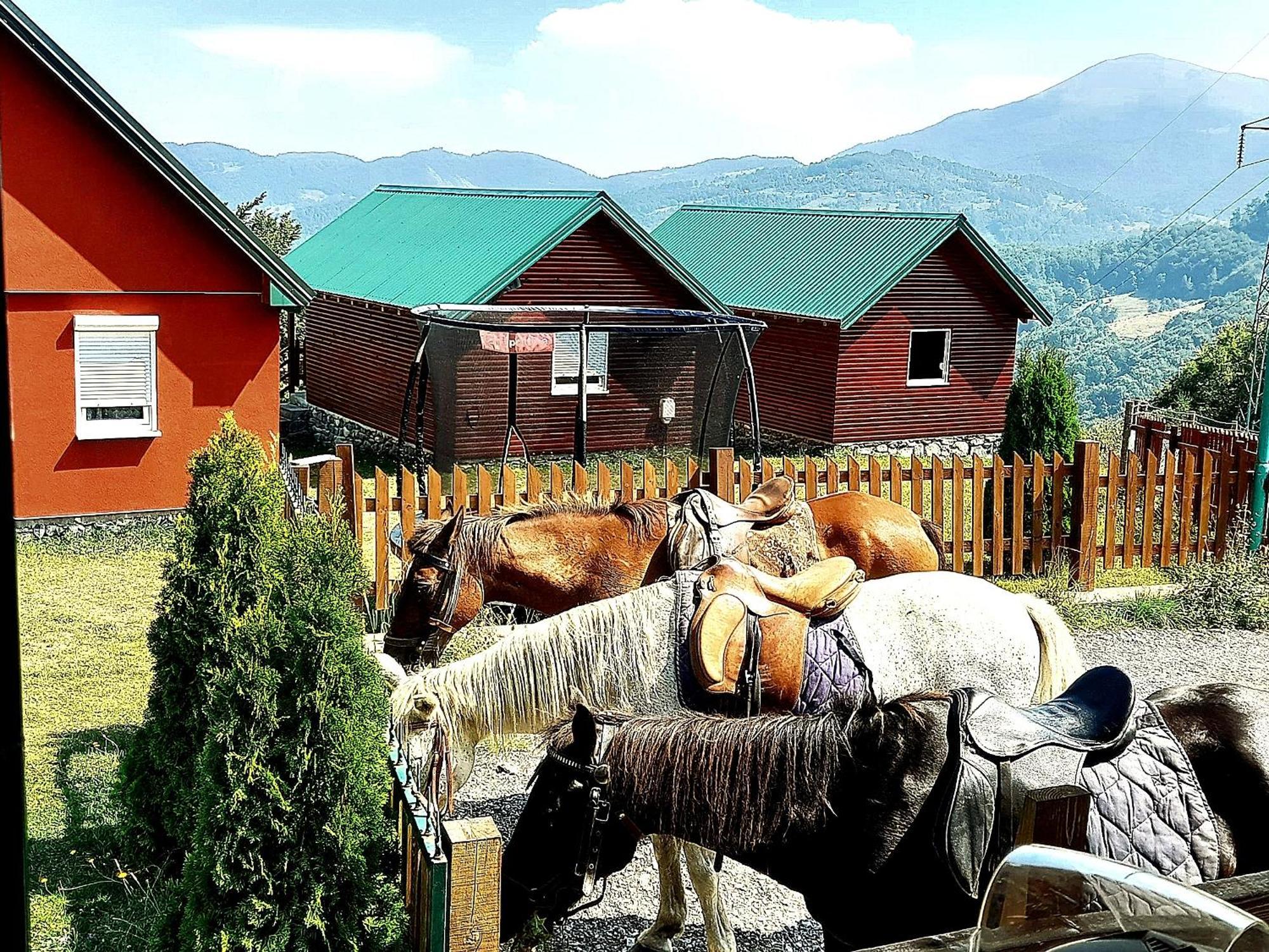 Etno Village Coric Mojkovac Exterior photo