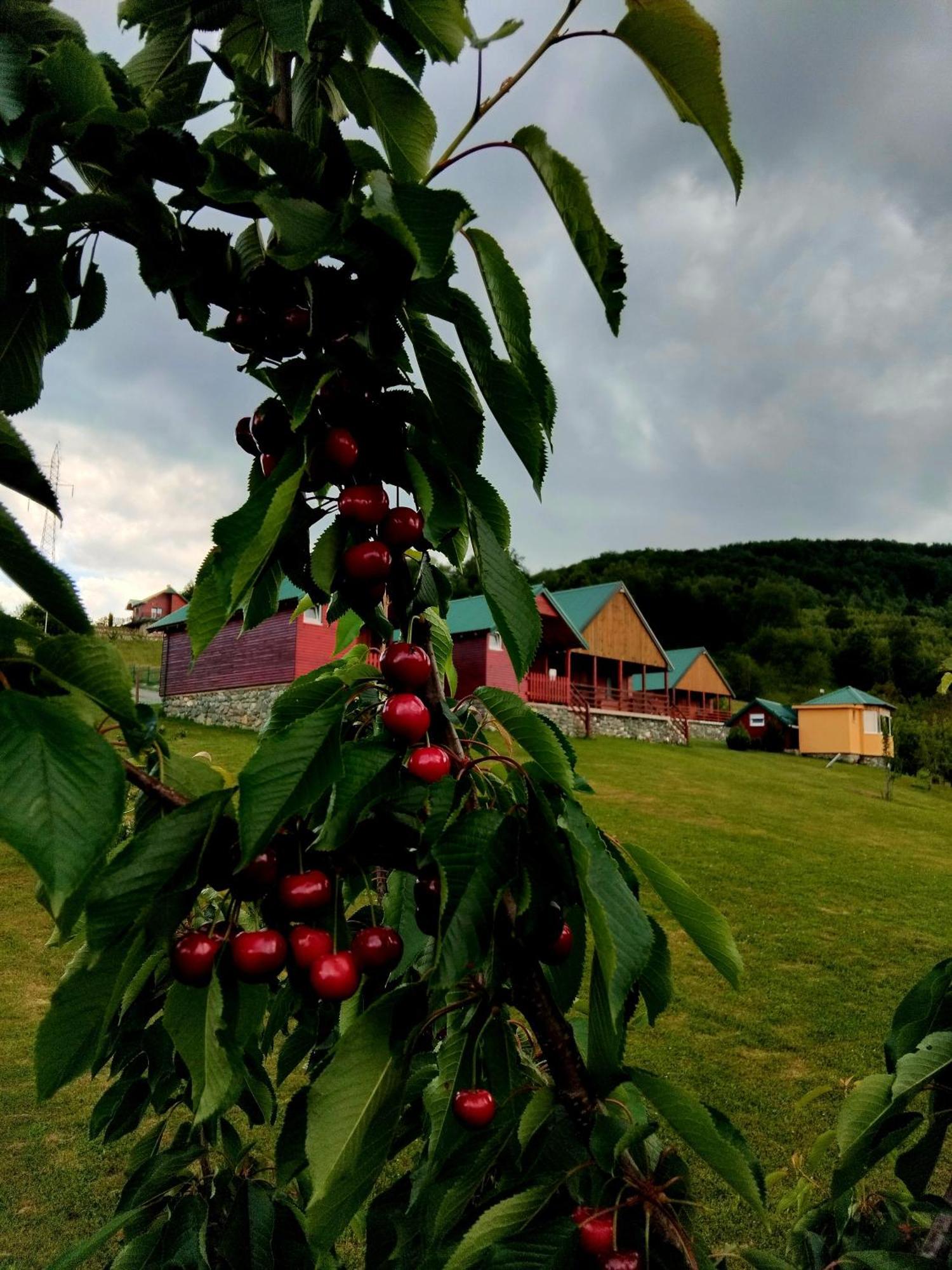 Etno Village Coric Mojkovac Exterior photo